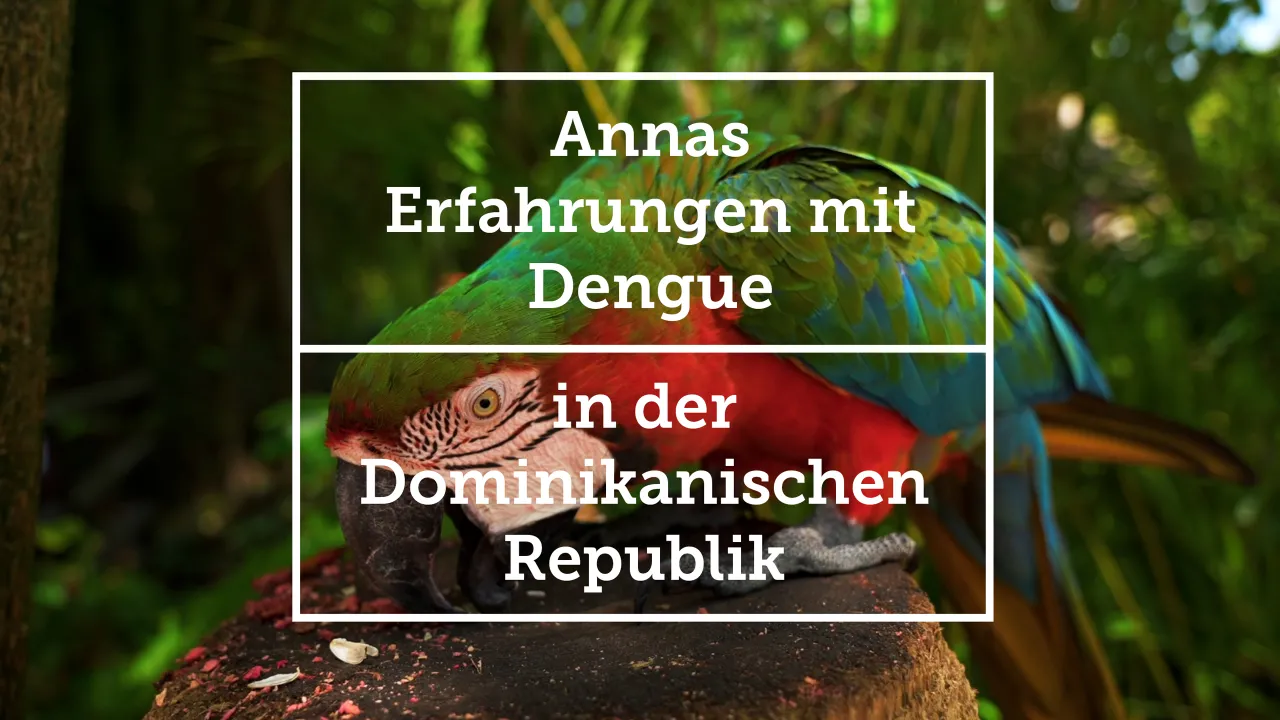 Papagei_wo_ist_anna